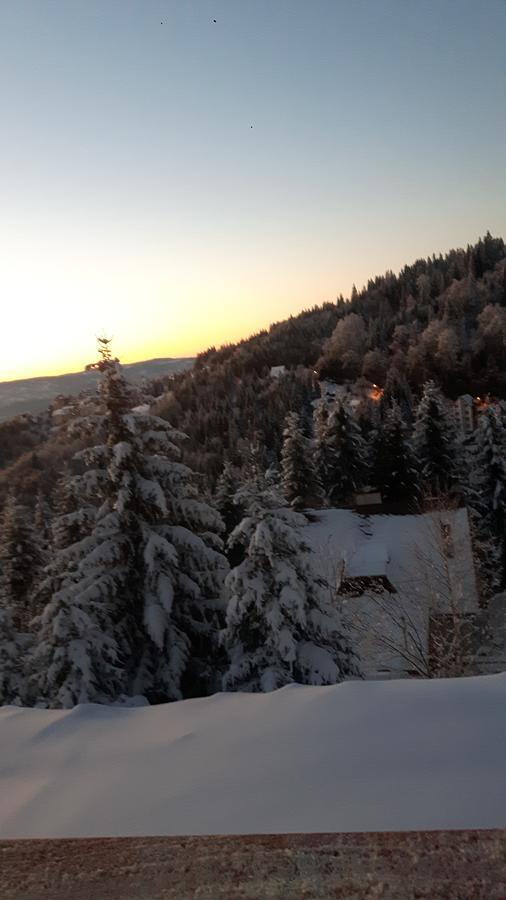 Vila Natasa Kopaonik Exterior foto