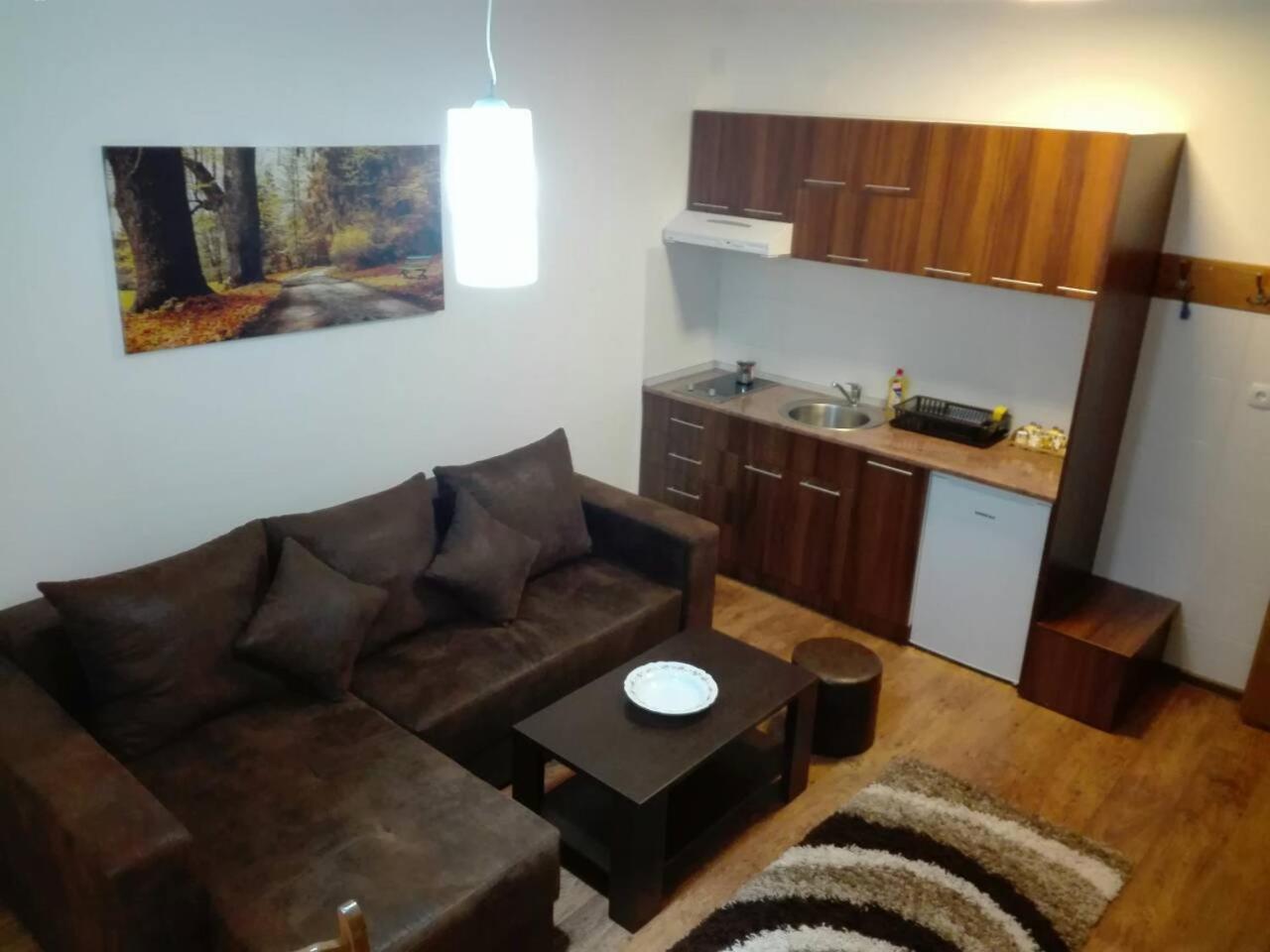 Vila Natasa Kopaonik Exterior foto